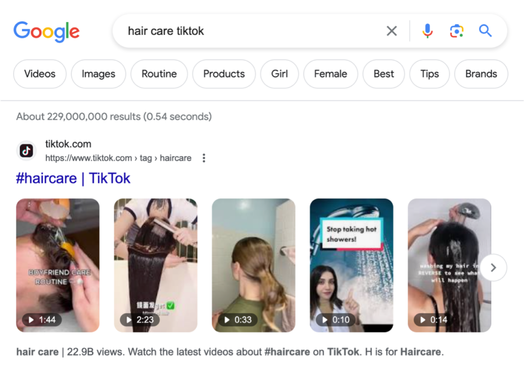 Tiktok page shown in Google search